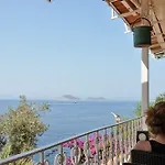 Caretta Kalkan