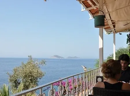 Caretta Kalkan
