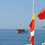 Caretta 3*