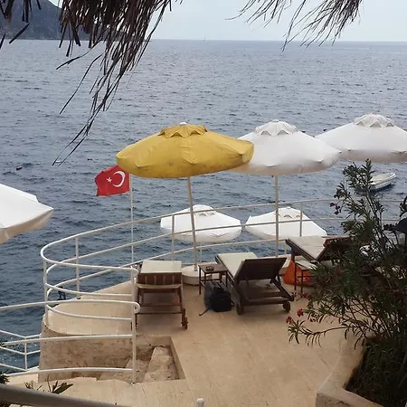 Caretta Kalkan