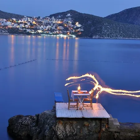 Caretta Kalkan