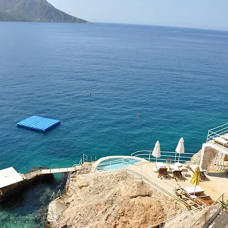 Caretta Kalkan