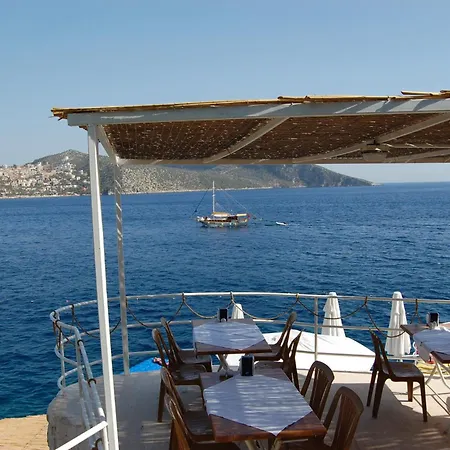 Caretta Kalkan