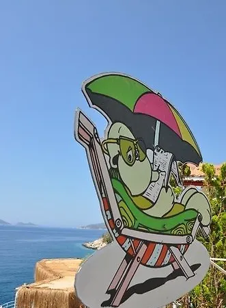Caretta Kalkan