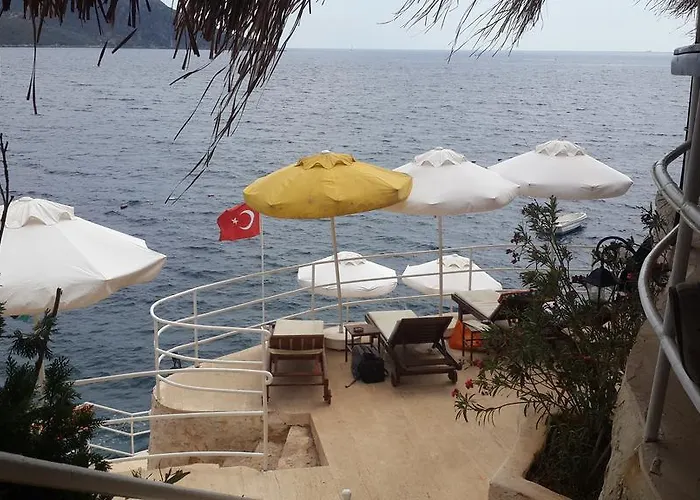Caretta كالكان