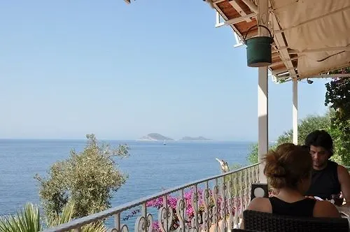 Caretta كالكان